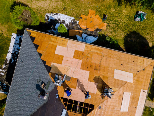 Best Roof Repair Services  in Woodbine, IA