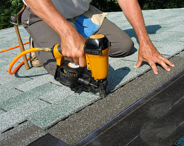 Best Roof Gutter Cleaning  in Woodbine, IA