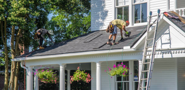 Best Roof Gutter Cleaning  in Woodbine, IA