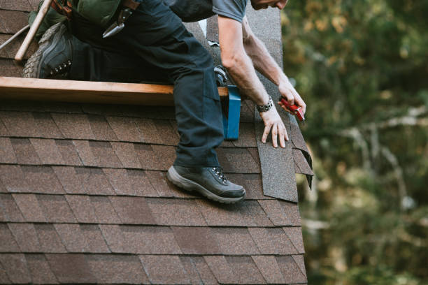 Roof Gutter Cleaning in Woodbine, IA